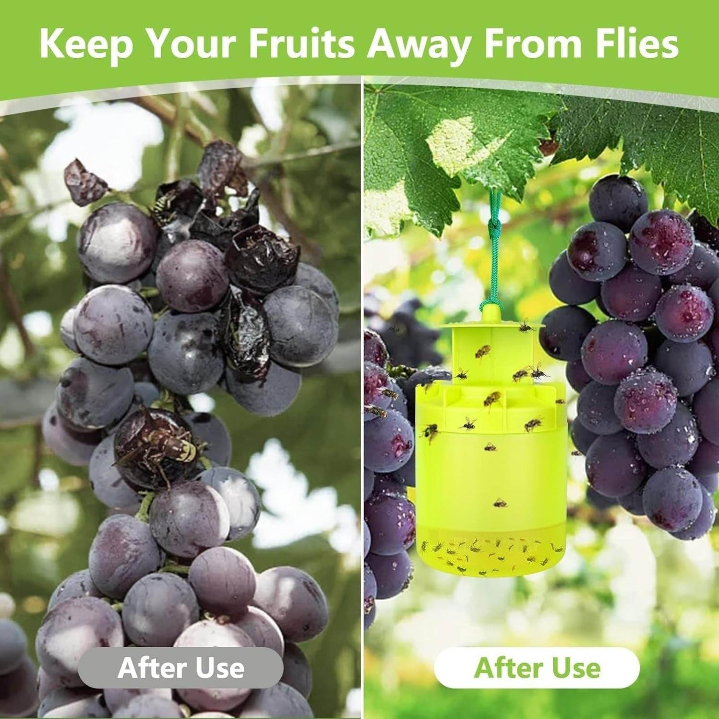 Outdoor Hanging Fly Trap - DMC Wholesale