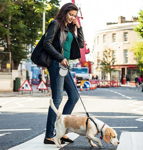 Retractable Dog Leash With Anti-Slip Handle (3m) - Alt View