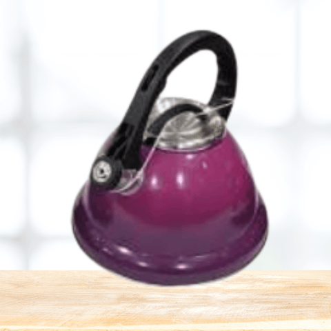 Two Tone Whistling Kettle (3L) - Alt View