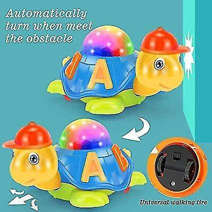 Magic Musical Tortoise - DMC Wholesale