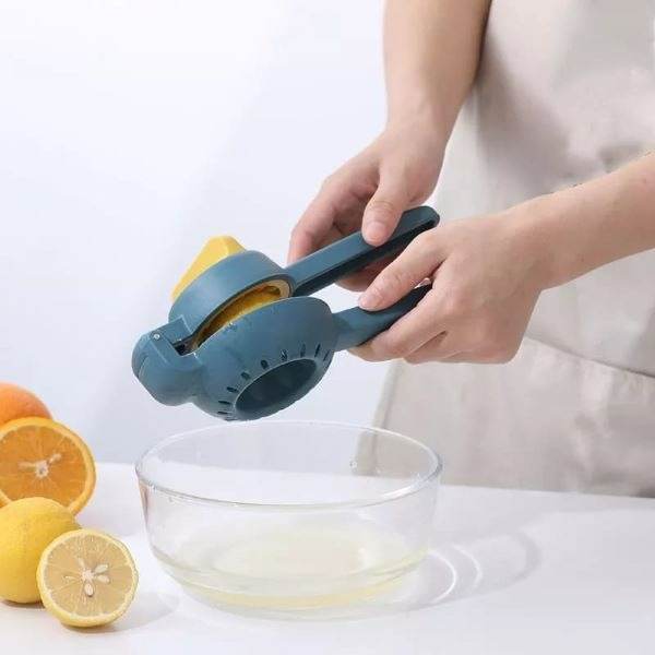 Dual Action Citrus Press - DMC Wholesale