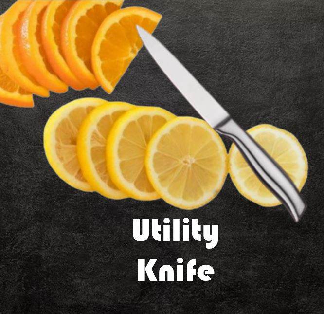 Professional Kitchen Utility Knife (Ultra Sharp Range) - DMC Wholesale