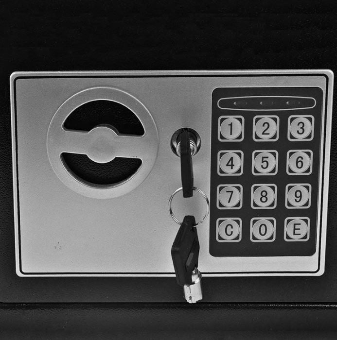 Electronic Digital Safe