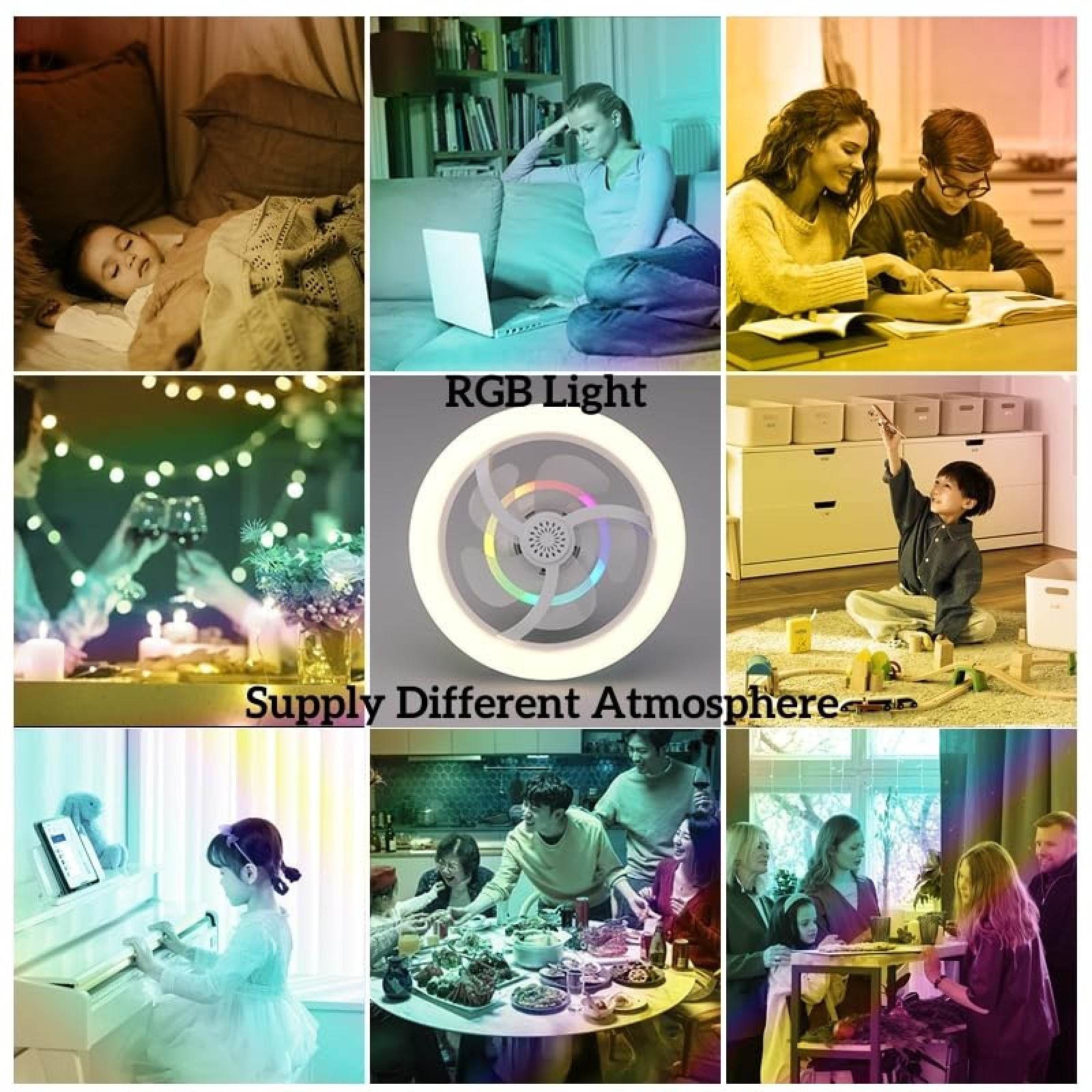 Socket Fan Light - DMC Wholesale