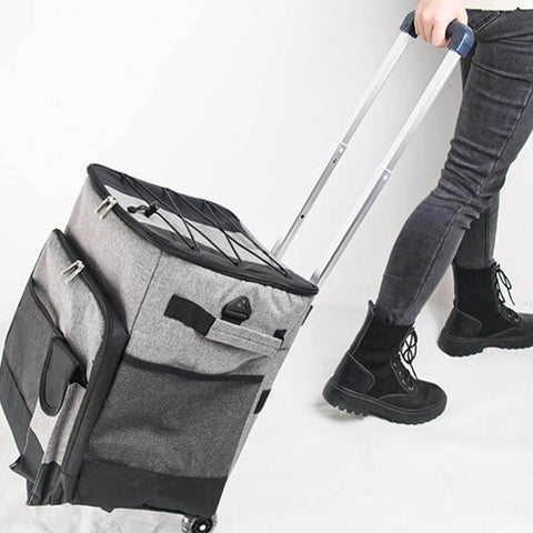 Insulated Rolling Cooler Bag - Alt View