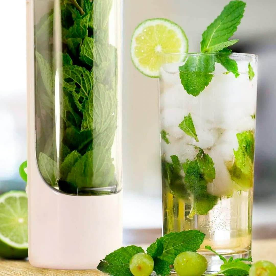 Fresh Herb Storage Saver - DMC Wholesale