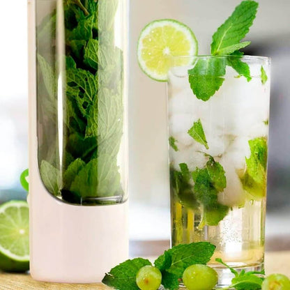 Fresh Herb Storage Saver - DMC Wholesale