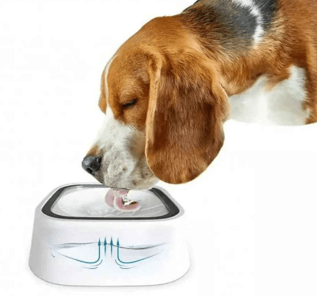 Splash Free Pet Water Bowl - DMC Wholesale