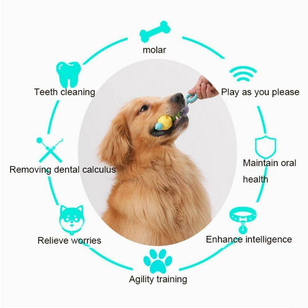 Interactive Dog Tooth Cleaning Massager Stick Toy - DMC Wholesale