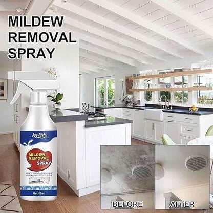 Wall Mildews Remover (60ml) - DMC Wholesale