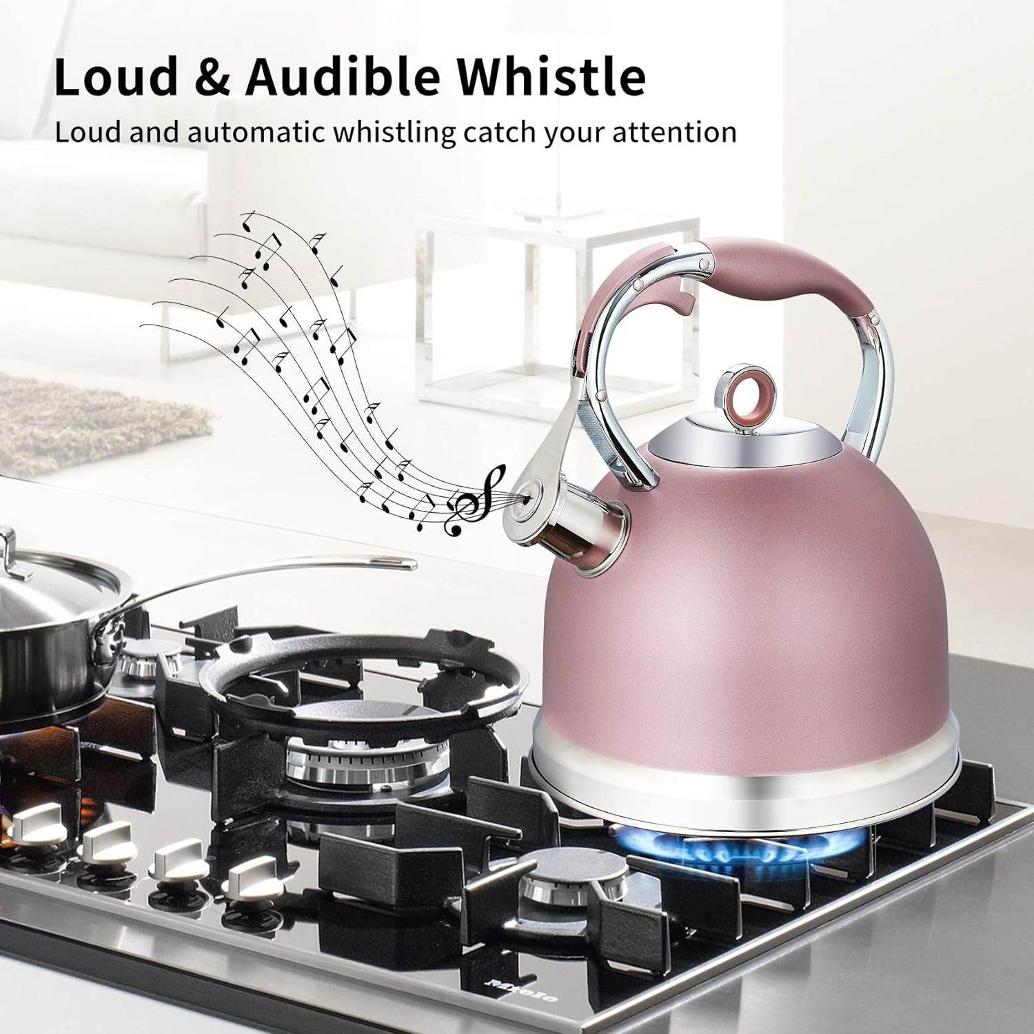 Whistling Stove Top Tea Kettle (3L) - DMC Wholesale