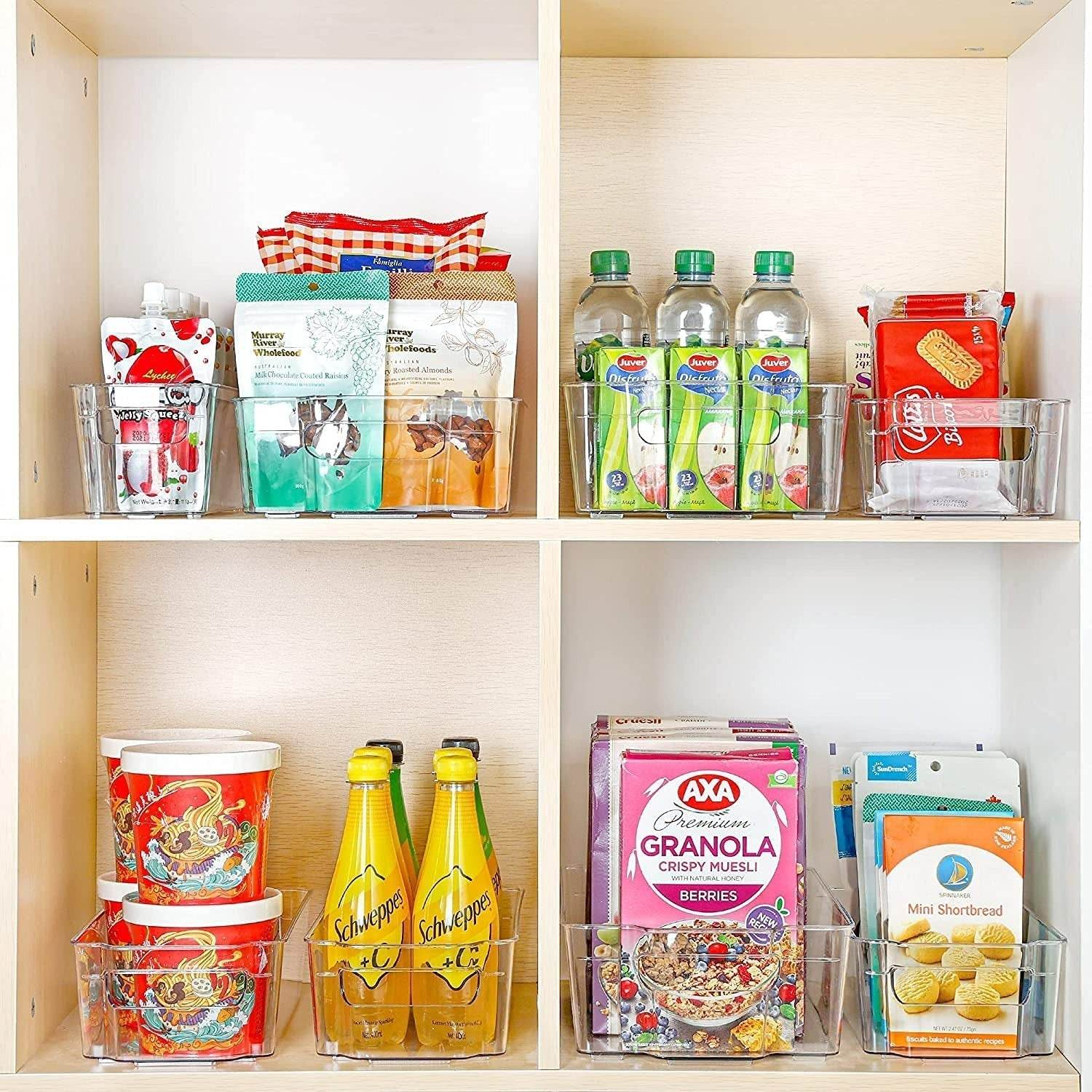 Food Storage Container (Large) - DMC Wholesale