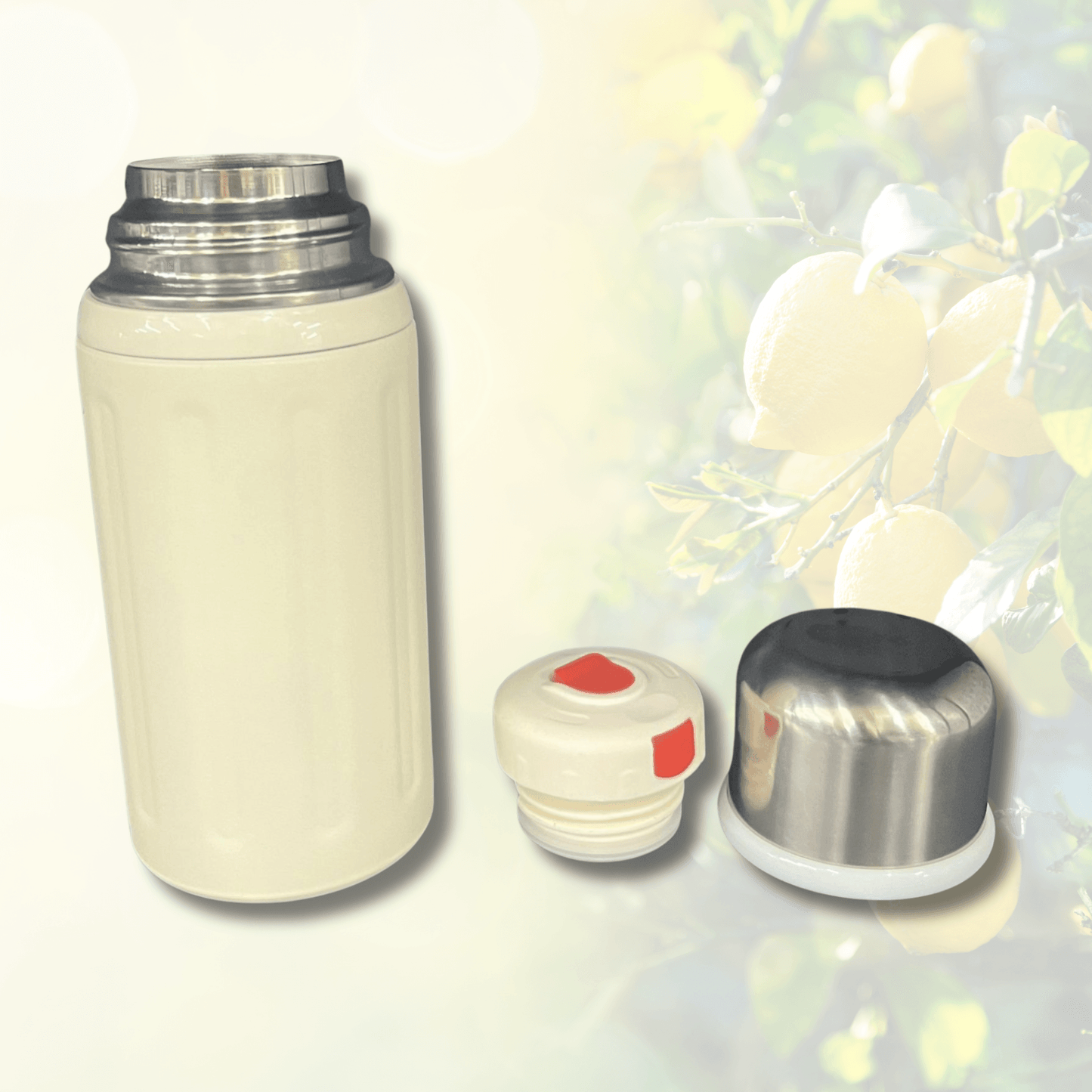 Wide-Mouth Thermal Insulated Flask - DMC Wholesale
