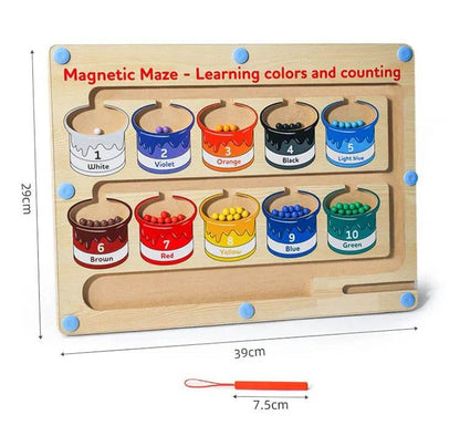 Educational Magnetic Colour And Numbers Classification - DMC Wholesale