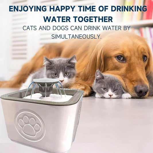 Paw Perfect Pet Water Fountain - DMC Wholesale