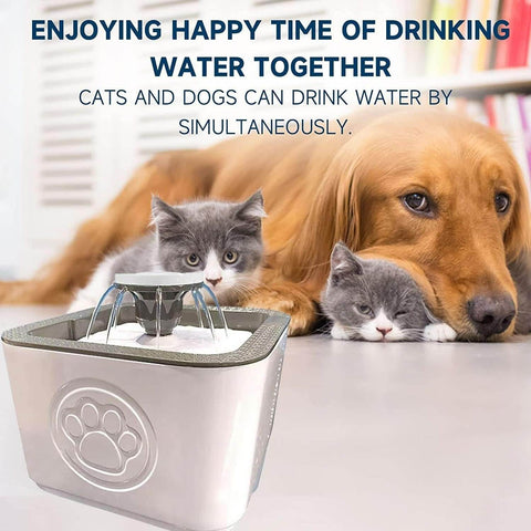Paw Perfect Pet Water Fountain