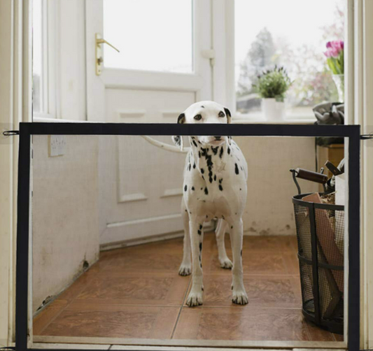 Ingenious Child Pet Safety Mesh Gate