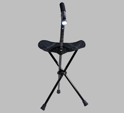 Dual-Purpose Folding Cane