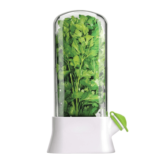 Fresh Herb Storage Saver (Large) - DMC Wholesale
