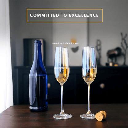 Champagne Glasses (Clear)(6 pcs) - DMC Wholesale