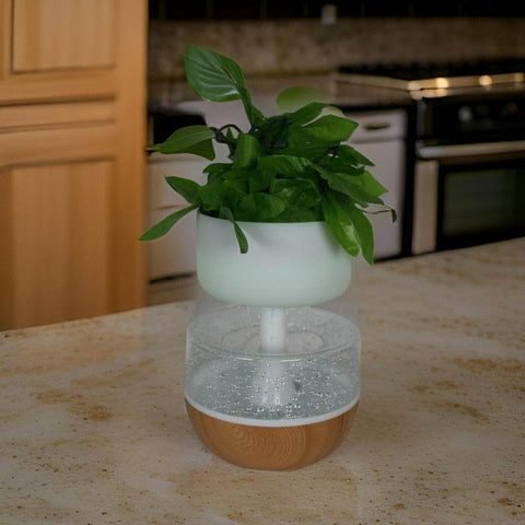Rain Cloud Plant Humidifier - Alt View