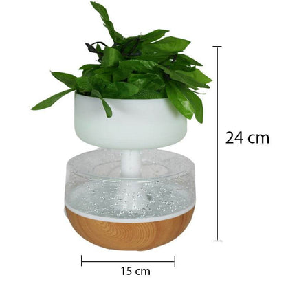 Rain Cloud Plant Humidifier - DMC Wholesale