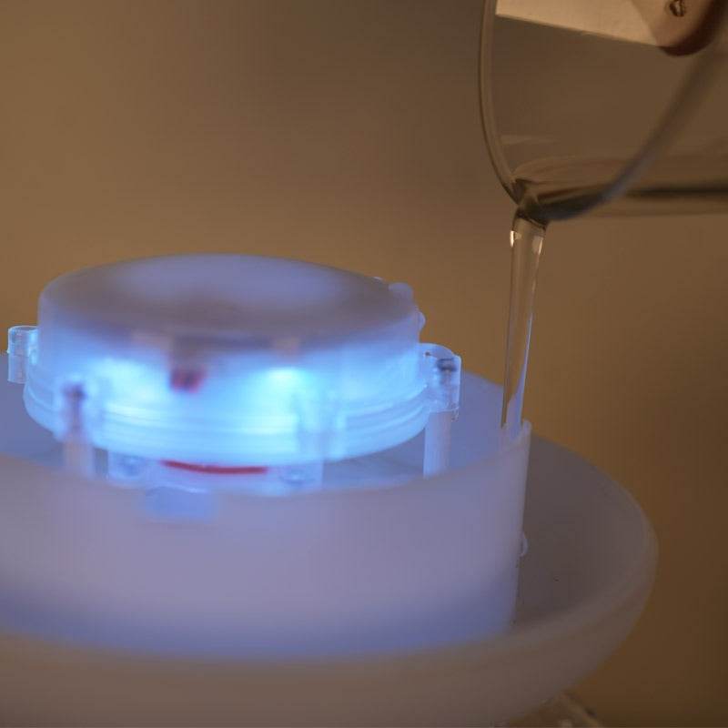 Rain Cloud Plant Humidifier - DMC Wholesale