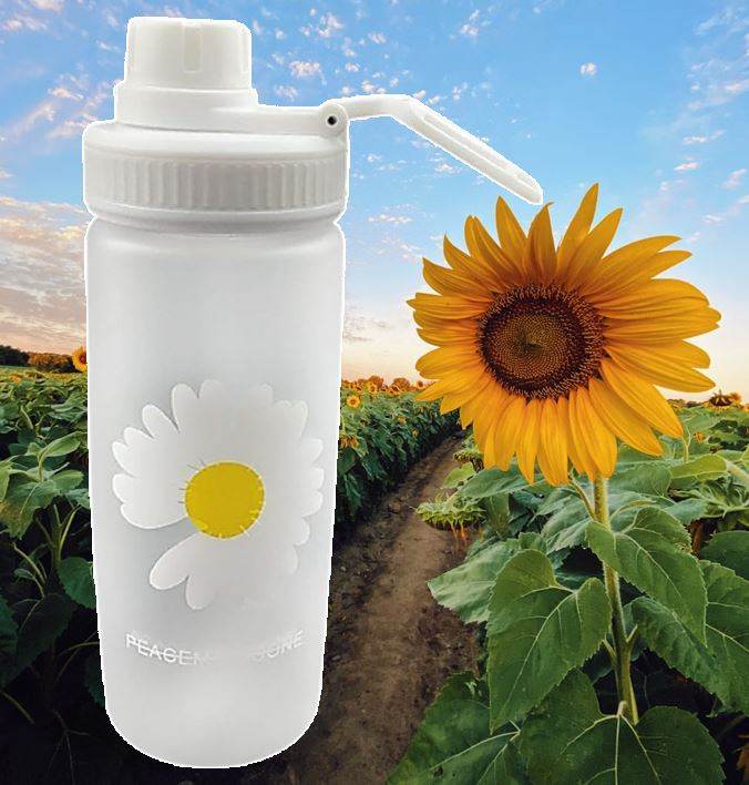 Sunflower Water Bottle (500ml) - DMC Wholesale