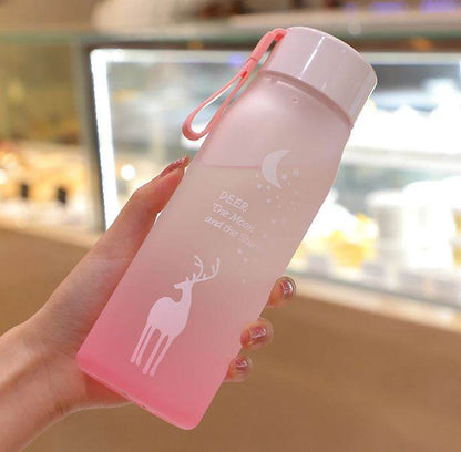 Frosted Water Bottle (600ml)(Colourful) - DMC Wholesale