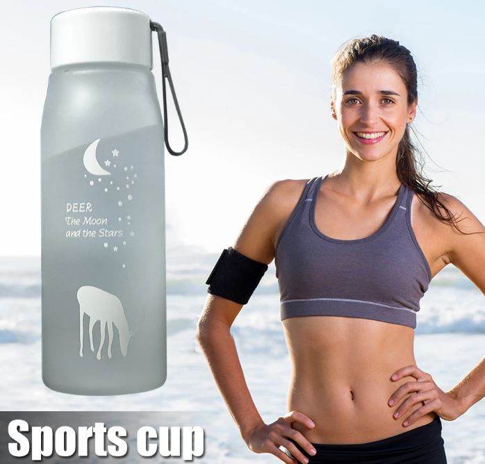 Frosted Water Bottle (600ml)(Colourful) - DMC Wholesale
