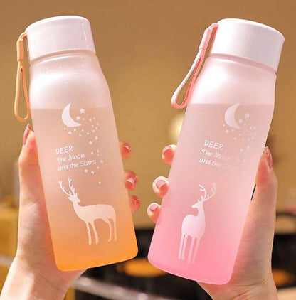 Frosted Water Bottle (600ml)(Colourful) - DMC Wholesale