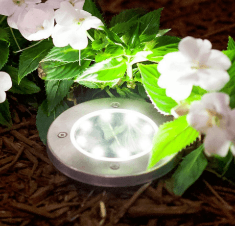 LED Solar Pathway Lights (4 pcs) - Alt View