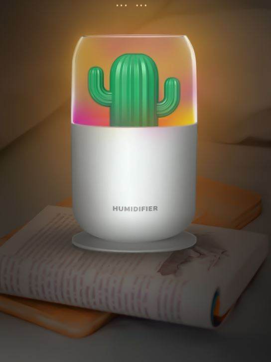 Cactus Humidifier - DMC Wholesale