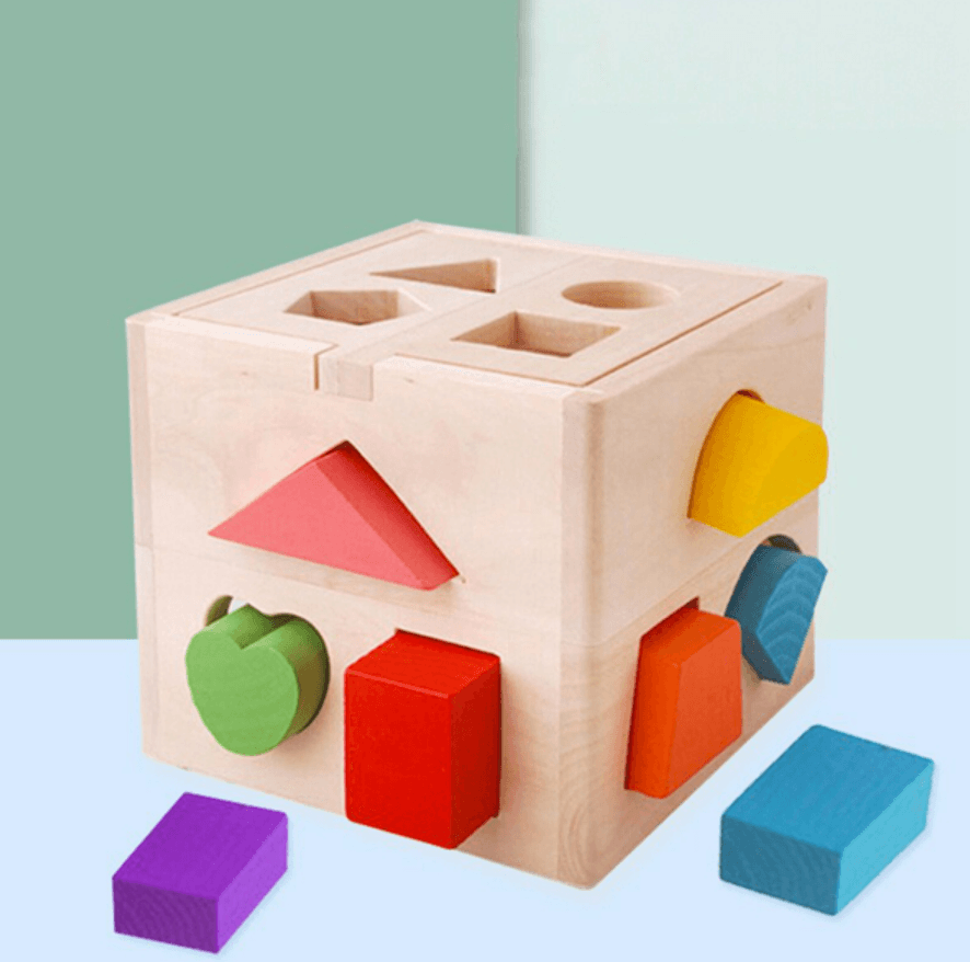 Shape Sorter Intelligence Box - DMC Wholesale