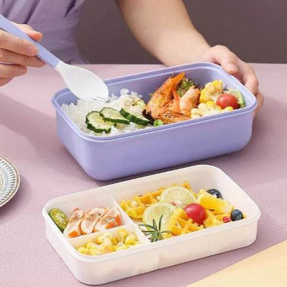 Microwaveable Lunch Box (Double Layer) - DMC Wholesale