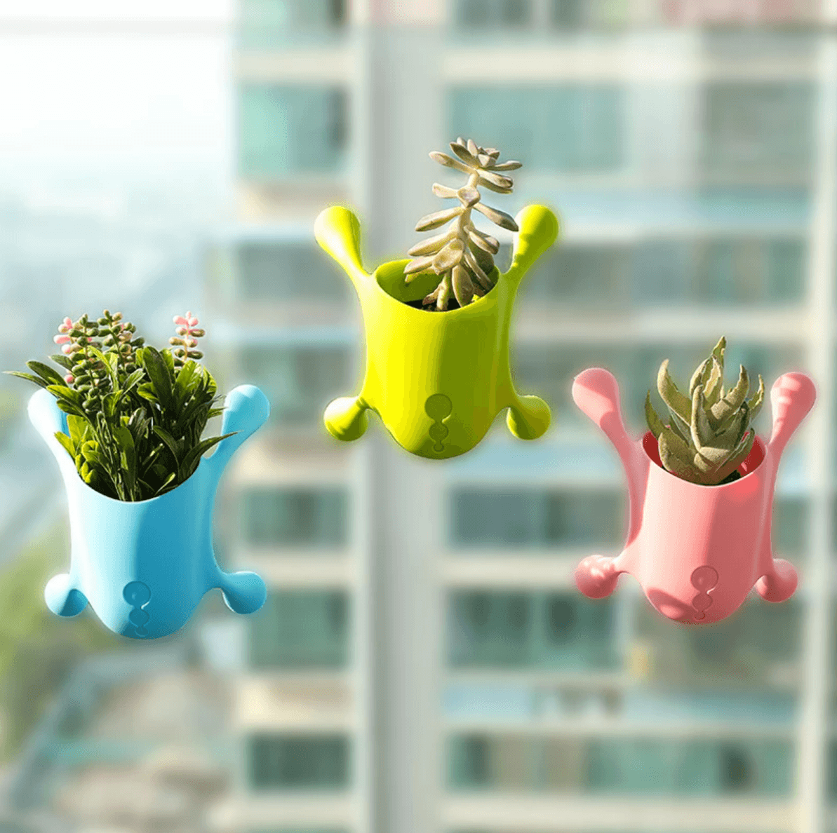 Multiple Suction Cup Wall Mounted Holder - DMC Wholesale