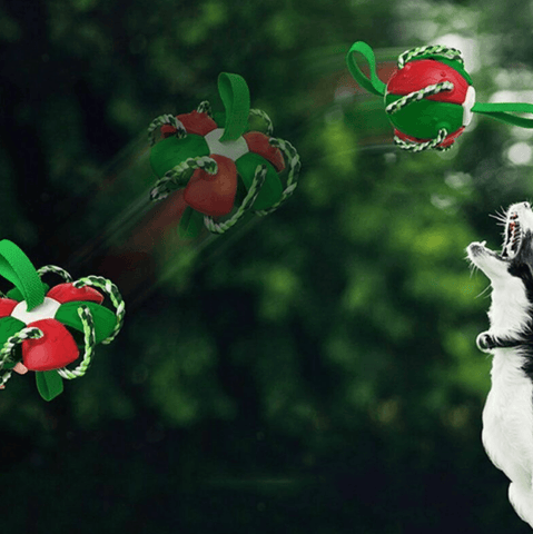 Dog Chew Flying Rebound Training Ball - Alt View