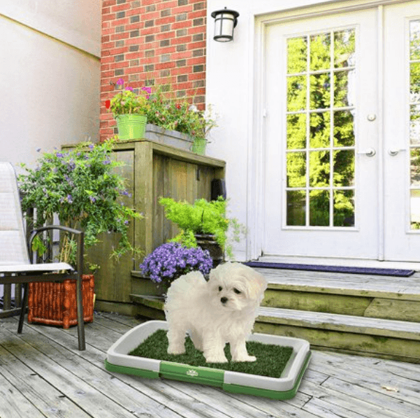 Puppy Potty Training Pad - DMC Wholesale