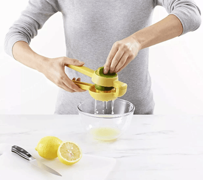 Dual Action Citrus Press - DMC Wholesale