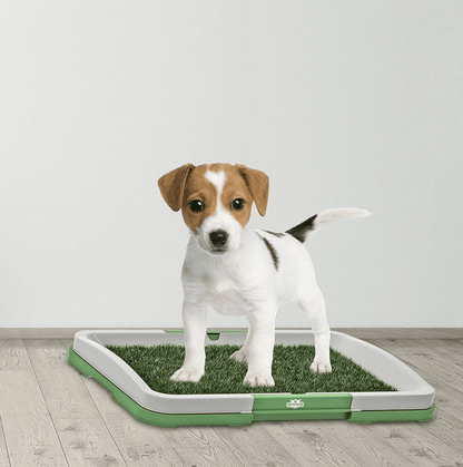 Puppy Potty Training Pad - DMC Wholesale