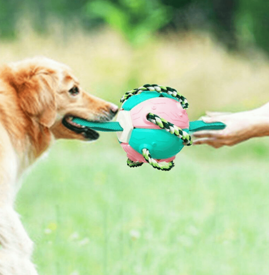 Dog Chew Flying Rebound Training Ball - DMC Wholesale