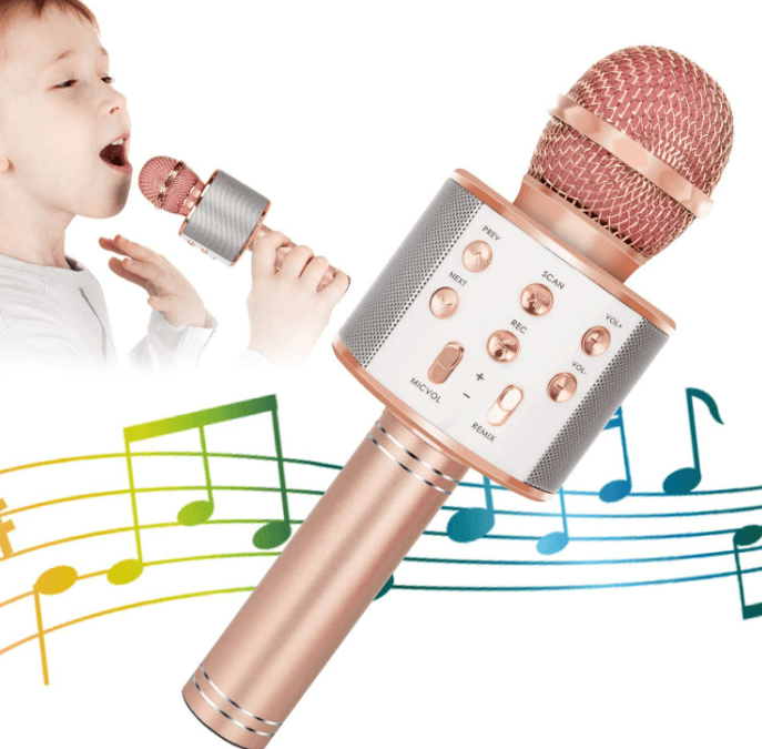 5in1 Wireless Karaoke Microphone - DMC Wholesale