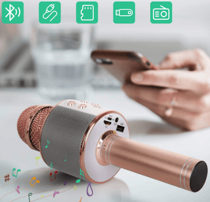 5in1 Wireless Karaoke Microphone - DMC Wholesale