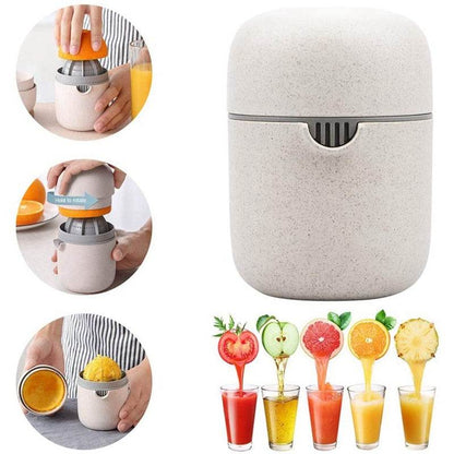 Manual Juicer Cup - DMC Wholesale
