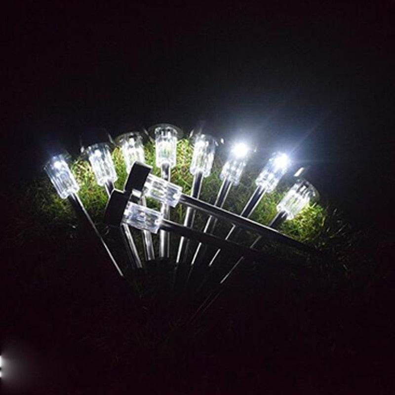 LED Solar Lamp (10 pcs) - DMC Wholesale